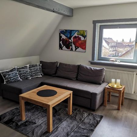 Schoene Ferienwohnung Fuer 6 Personen Erwartet Sie Im Oberharz Sankt-Andreasberg Extérieur photo