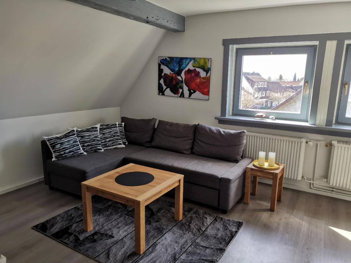 Schoene Ferienwohnung Fuer 6 Personen Erwartet Sie Im Oberharz Sankt-Andreasberg Extérieur photo